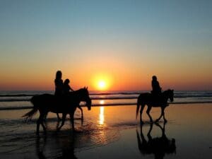 beach horse riding