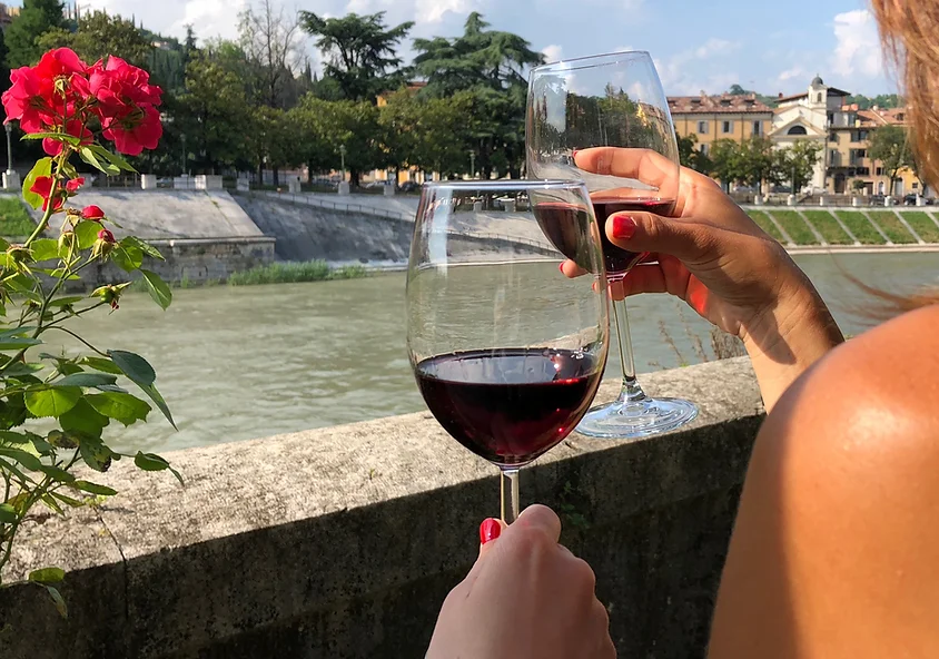 Verona wine tasting