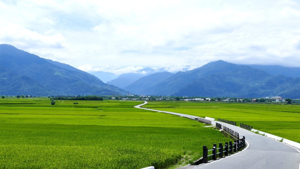 rice fields, countryside, taitung-7230362.jpg